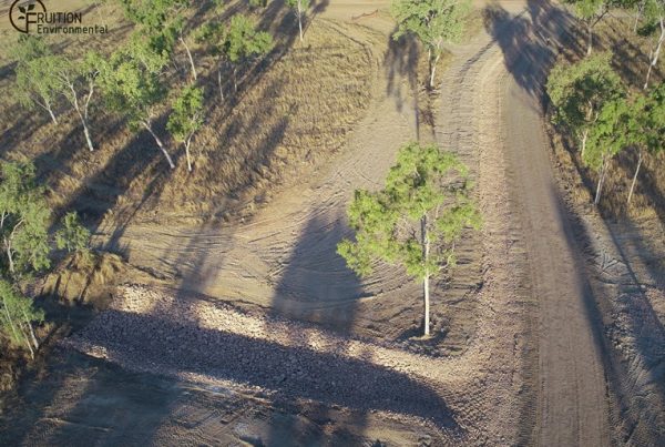 Greening Australia Reef Trust IV Gully Remediation Design