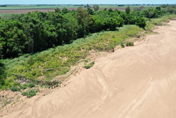 Burdekin River Pile Field