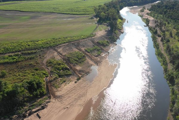 Herbert River pile field