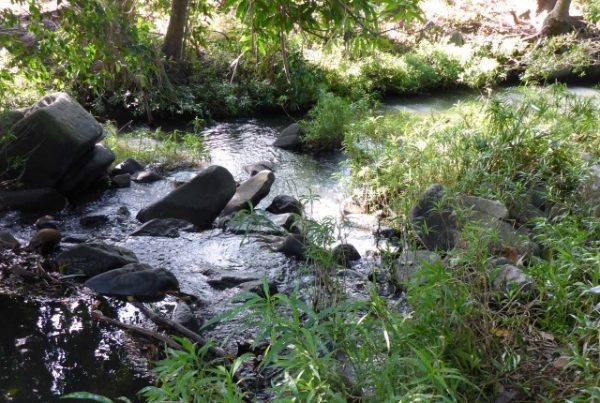 Department of Transport and Main Roads Janes Creek Geomorphology Assessment