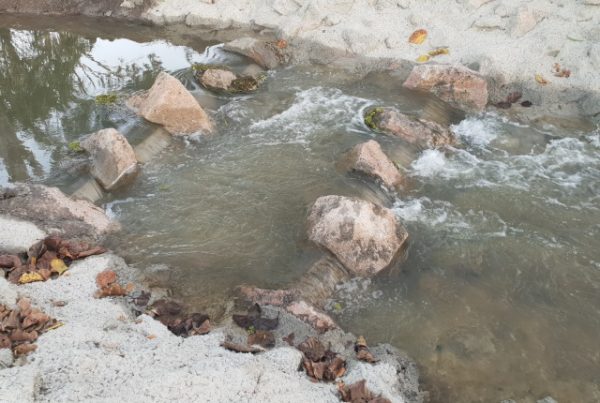 Nq Dry Tropics/Lower Burdekin Water Saltwater Creek Fishway Design