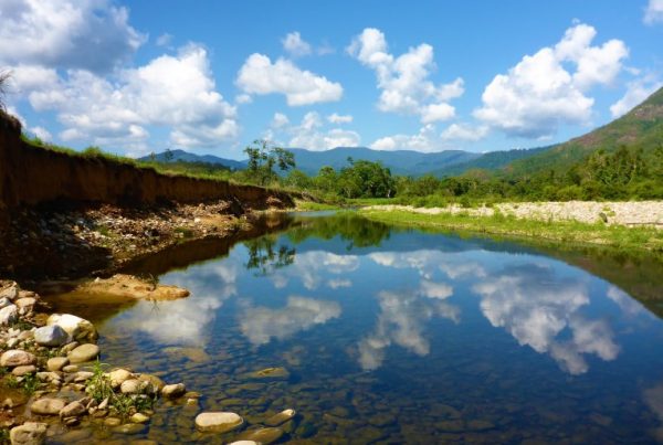 Reef Catchments Mackay Whitsundays Cyclone Recovery Business Case