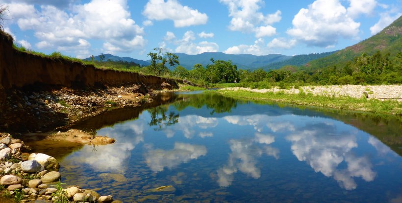 Jason Neilly Queensland | Neilly Group for the environment