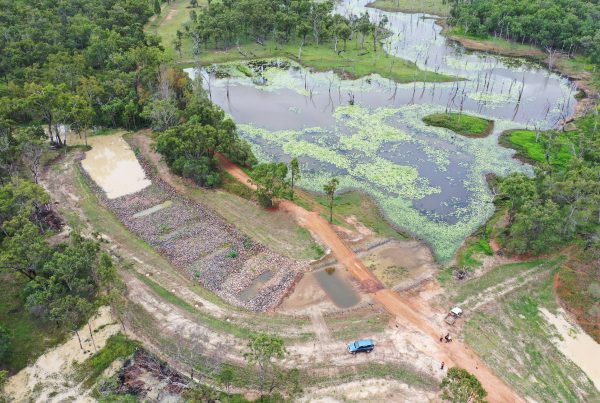 Reef Trust IV Gully Remediation Design Woodleigh Station, Herbert River Basin, QLD Terrain NRM, 2018