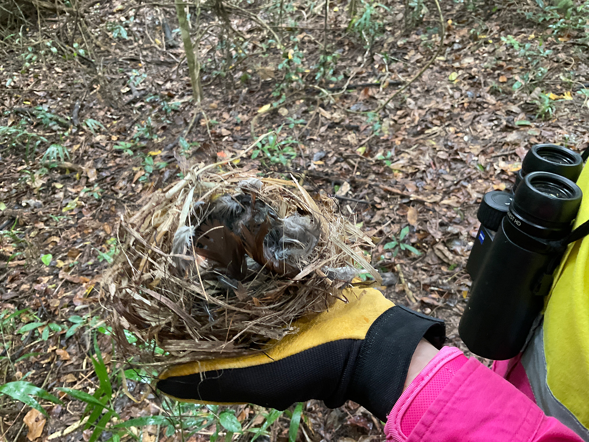 Ecological-assessments-1 Ecological assessments