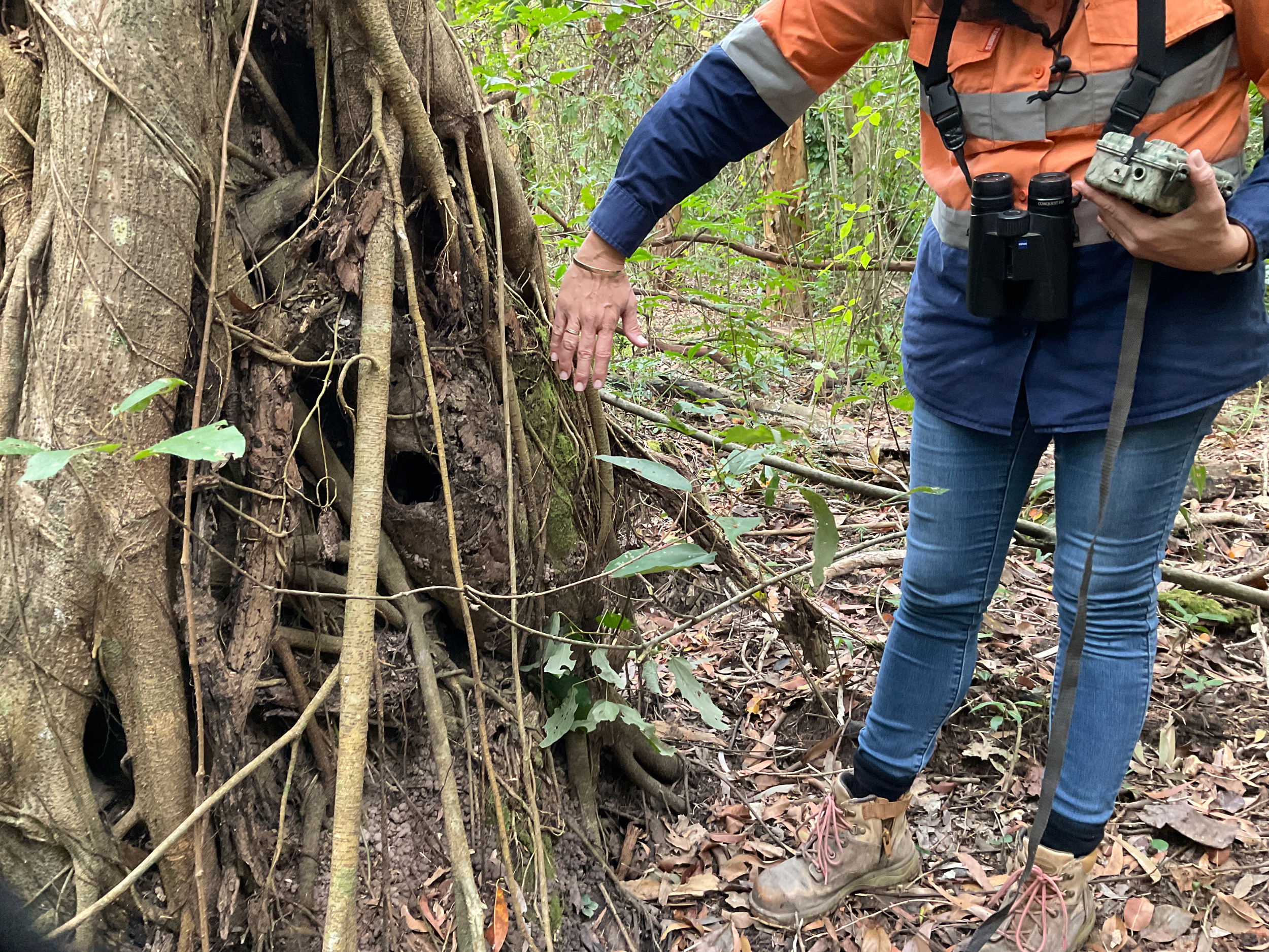 Ecological-assessments Ecological assessments