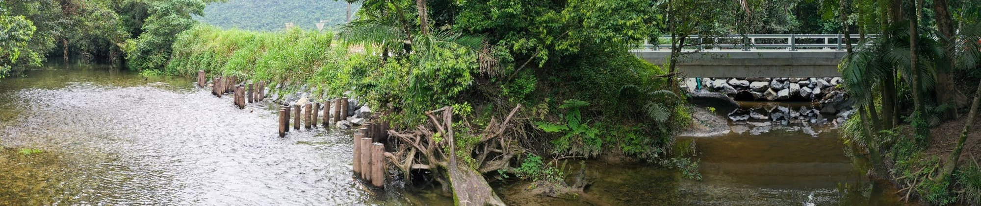 Main-Photo-Mossman-River Mossman River