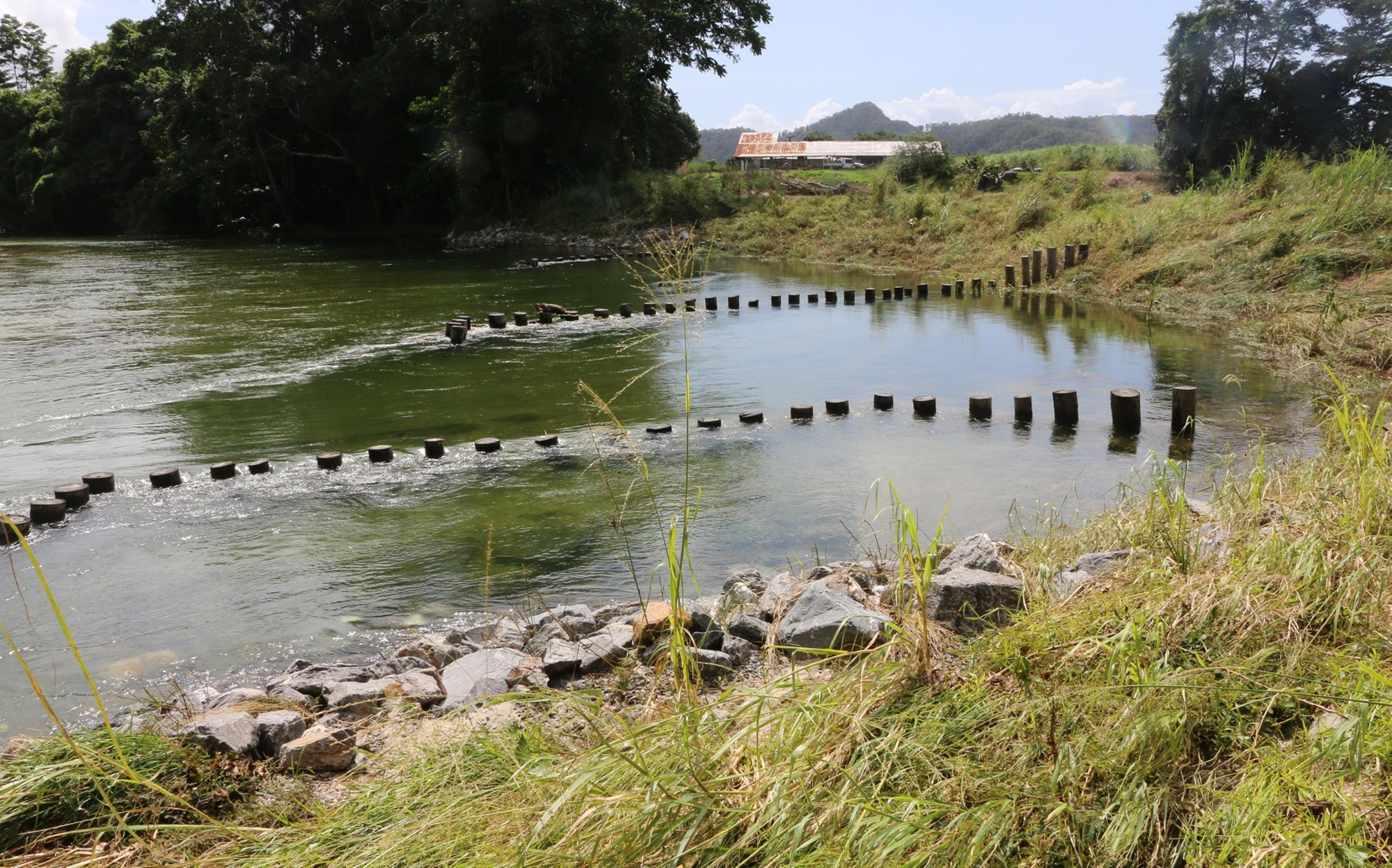 Mossman-River Mossman River.