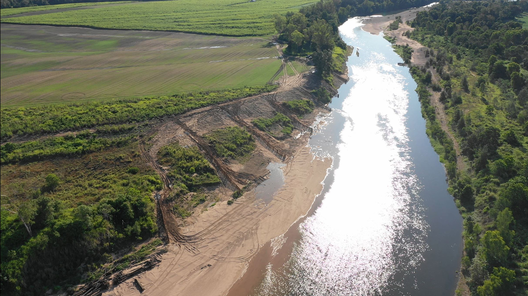 Herbert-river-pile-field Herbert River pile field