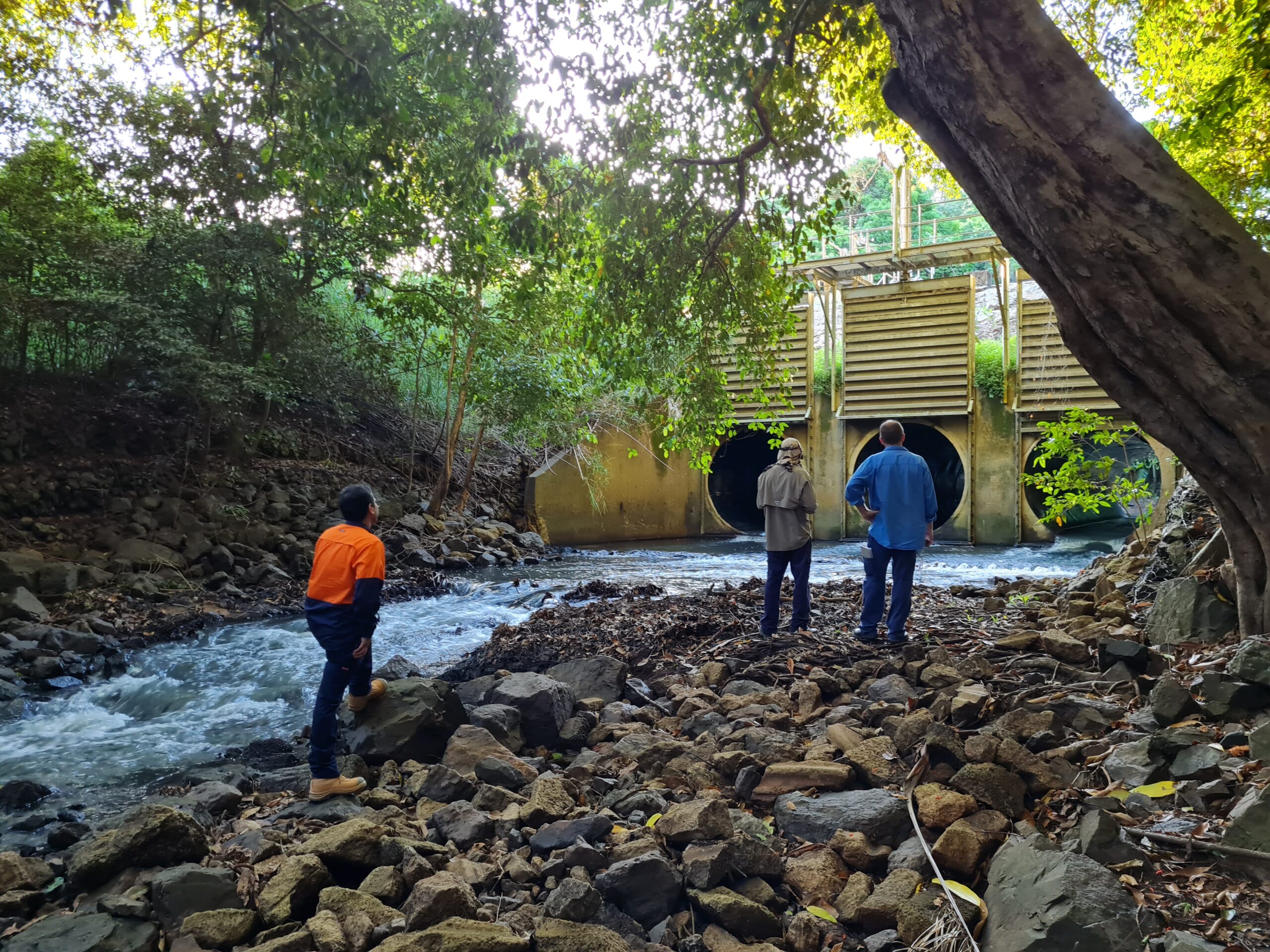 20220411_173431-scaled